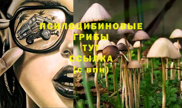 ALPHA-PVP Каменск-Шахтинский