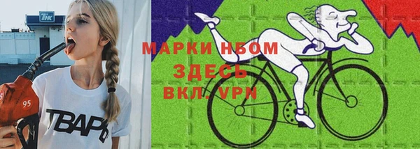 стафф Каменногорск
