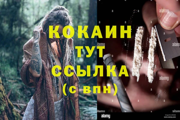 стафф Каменногорск